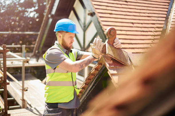 Best Roof Maintenance Services  in Mendon, UT